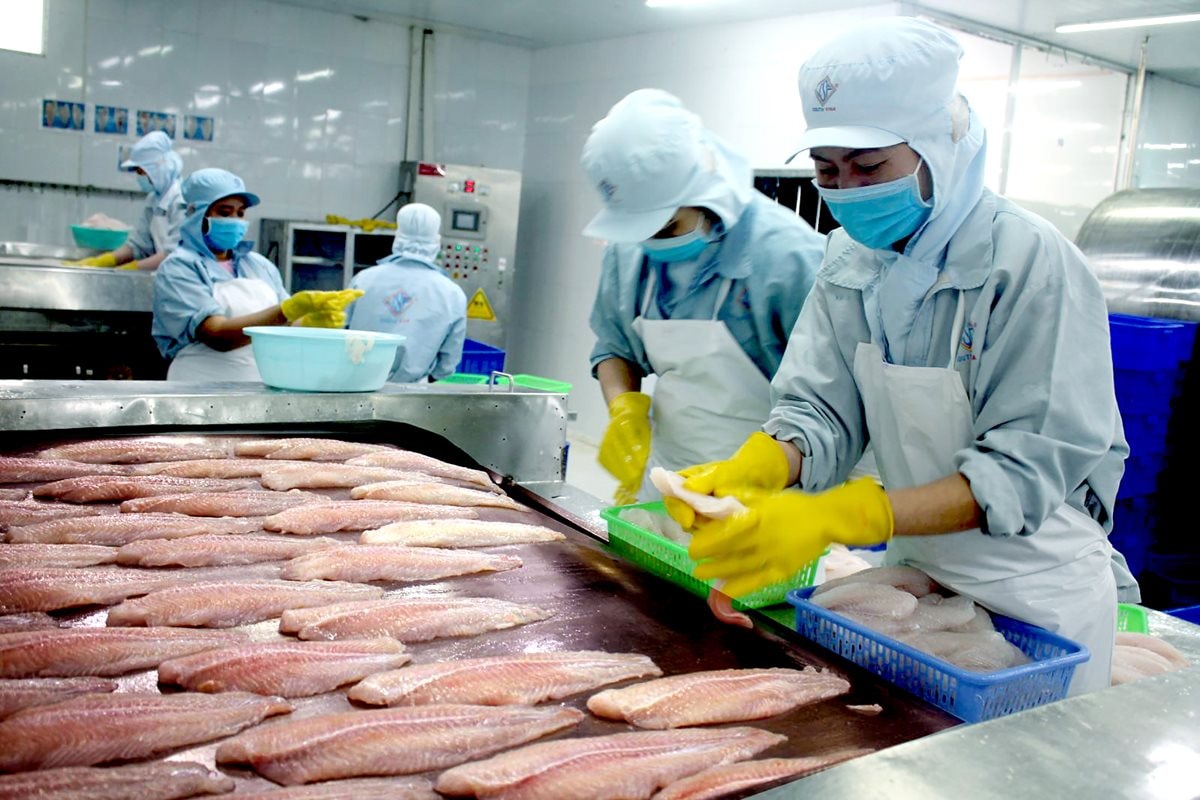  Đa dạng hóa sản phẩm cá tra xuất khẩu